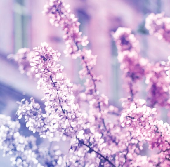 City Of Colours